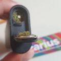 VOC: Toekomst Cannabis Social Clubs
