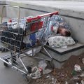 Dordrecht maakt elke wietkweker dakloos