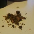 De beste anti-War on Drugs speech ooit