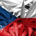 Alles over cannabis in Tsjechië