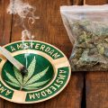 2 nieuwe cannabis events in Amsterdam