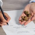 Studie: cannabis bij diabetes nierschade