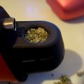Alain Bollen - Het gedrocht van de Belgische wet inzake cannabis
