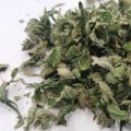 Grootste cannabis & kankeronderzoek ooit