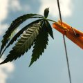 Kweken? Denk niet te luchtig over lucht