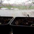 Test van Erik