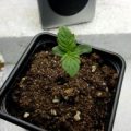 Test van Erik