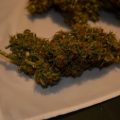 Steentijd Stoners - Hoe onze voorouders high werden (part I)