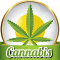 Cannabis debat in The Grass Company