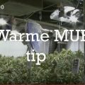 Doe je voordeel met deze (anti-)wietvideo!