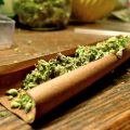 Zin in een blunt? Zo doe je dat!