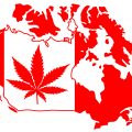 Wietpatiënt in Canada mag weer kweken