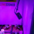 VOC: Toekomst Cannabis Social Clubs