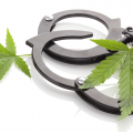 Stad in VS ruilt gevangenis voor cannabis
