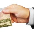Bankier kweekt wiet met 'onfrisse types'