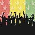 Veel animo voor coffeeshops Amersfoort