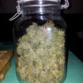Doe jezelf een lol en hotbox je hoofd