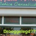Politie Haarlem naait coffeeshop