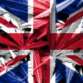 UK: 1 miljard wietbelasting na legalisering