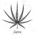 De beste anti-War on Drugs speech ooit