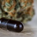 CBD-olie: verkoop mag, productie bestraft?