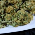 VOC: Toekomst Cannabis Social Clubs