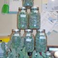 De beste anti-War on Drugs speech ooit