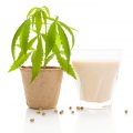 Geef je verdampte wiet een tweede leven als cannabismelk!