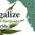Eindelijk 1e legale wietoogst in Florida