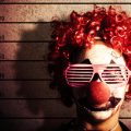 Politie - 20% pakkans met commerciële wietkwekerij