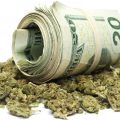 Komt Big (marijuana) Money nu al naar Nederland?!