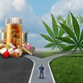 Legale medicinale cannabis kost farmaceutische industrie miljoenen