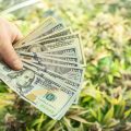 Washington: 1 miljard dollar aan legale wietverkoop in 2 jaar