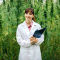 Australië test cannabis als medicijn bij huidkanker
