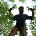 Politie kan de boom in!