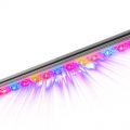 Nieuw: extra kweeklicht met Kind LED balken