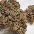 Het ontstaan van Chemdog, de basis van alle Diesel en OG Kush soorten