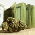 Big (Marijuana) Money arriveert in NL