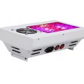 Veilig (micro)kweken met G-Leds