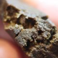 Vet! RollingStoned op Hasjblock-party