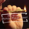Kijk, zó rol je een 'Dutch Tulip Joint'