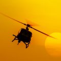 Politie zet helikopter in om bij 81-jarige bejaarde 1 wietplant te pakken!