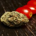 British Sugar verruilt tomaten voor cannabis