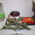 Eindtest: Black Afghani Kush & Frisian Duck