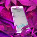 Oogst meer wiet ...met de luxmeter van je smartphone!