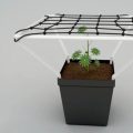 Scroggen wordt een eitje met Scrog Line Pro