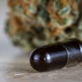 Kneuterige CBD-discussie moet in de kiem worden gesmoord