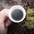 Cannakoffiedik kijken met de VOC-voorzitter: wat brengt 2017?