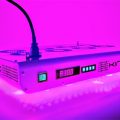 Kind XL, led voor grootverbruikers