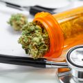 Analyse 10.000 studies: wiet ís medicinaal, wel meer onderzoek nodig